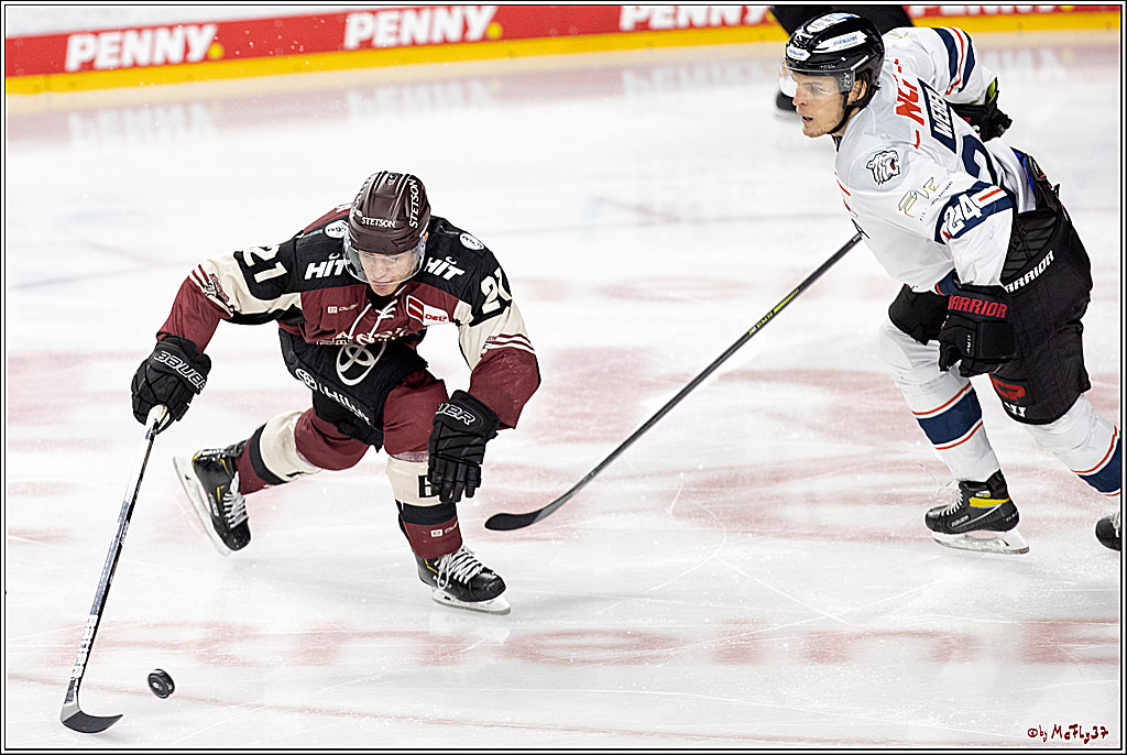PENNY DEL;  Koelner Haie - Nuernberger Ice Tigers; Koeln, 25.03.2021